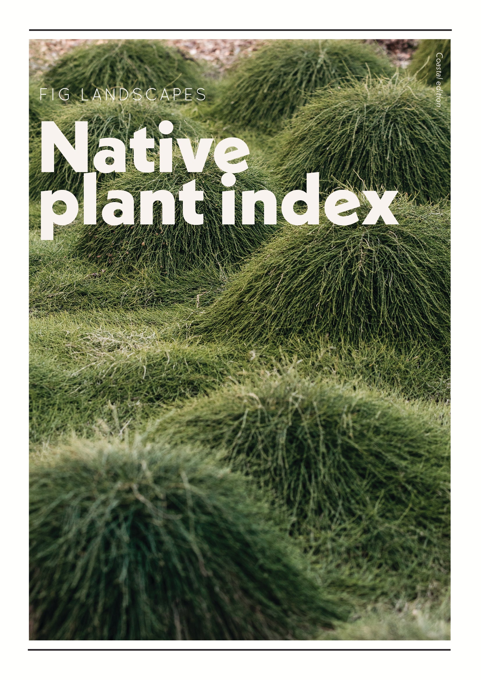 NATIVE PLANT INDEX Guide To Better Gardens