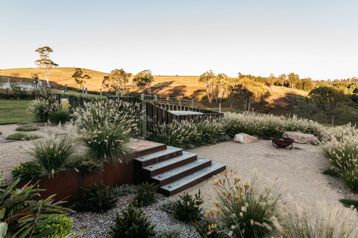 Creating a native garden