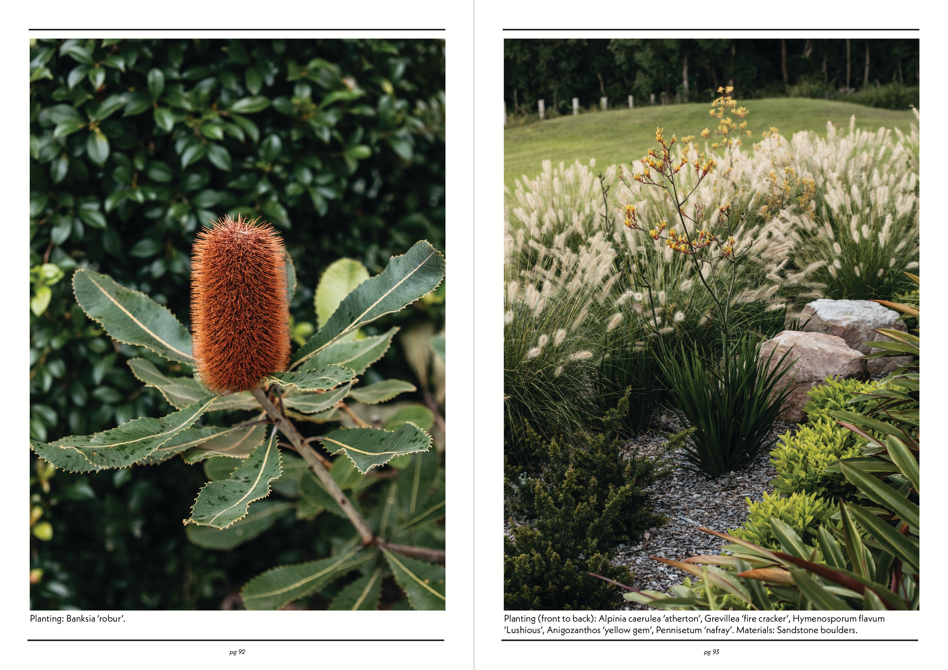 Native Plant Index