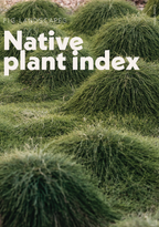 Native Plant Index