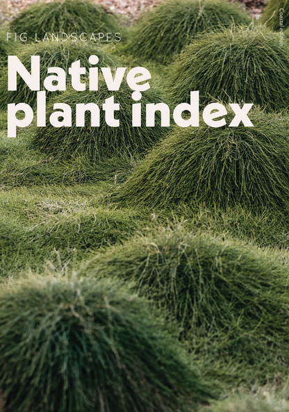 NATIVE PLANT INDEX