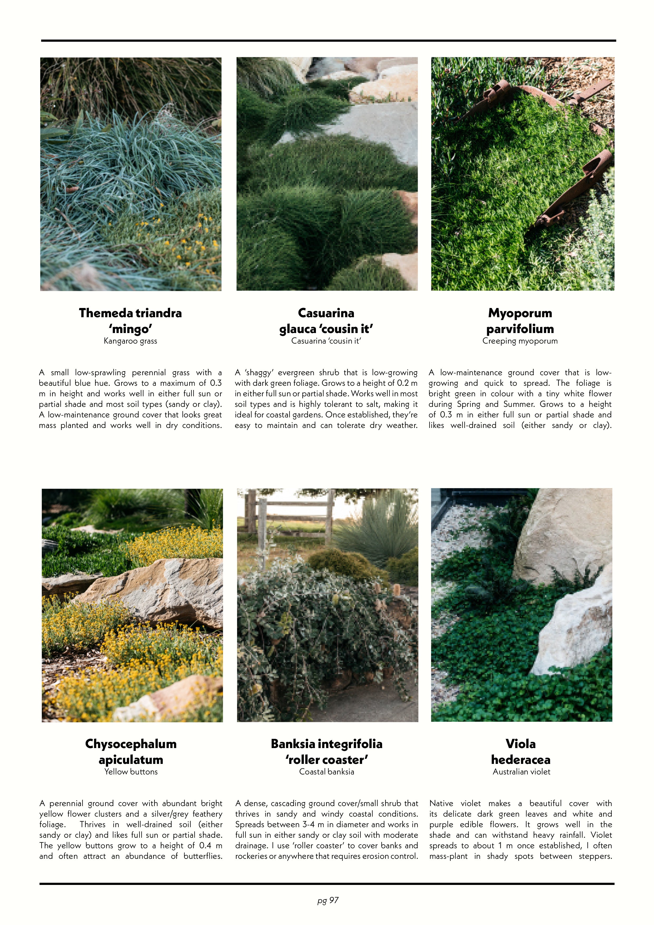 Native Plant Index